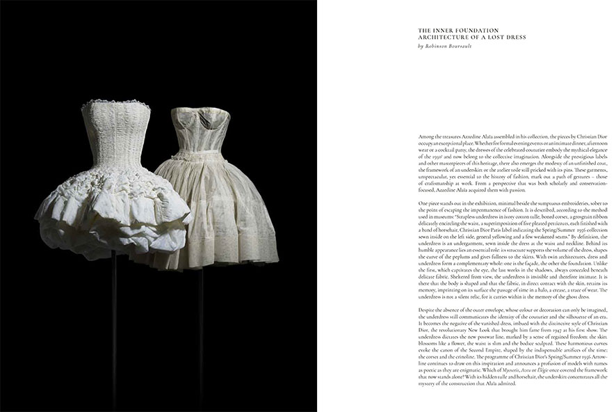 NEW_CAT_AA_DIOR_ANG_13-02 20 copie